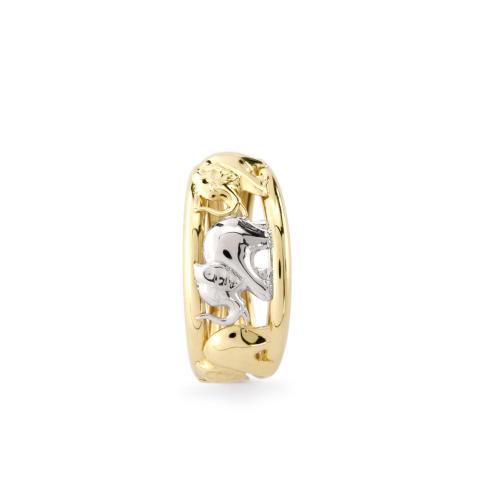 Anillo elephants